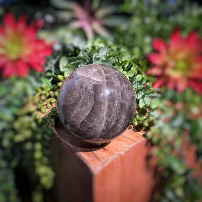 Smoky Quartz - Spheres