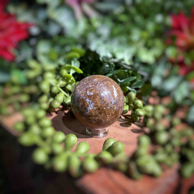 Ocean Jasper - Sphere 1.4" - 3.8"