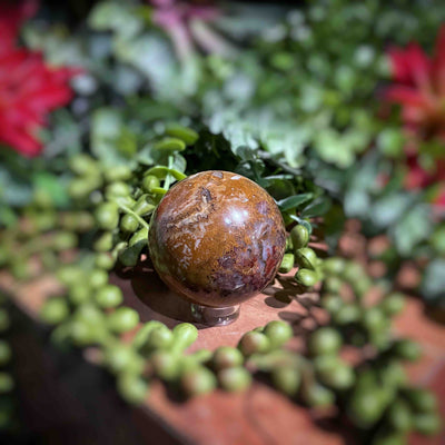 Ocean Jasper - Sphere 1.4" - 3.8"