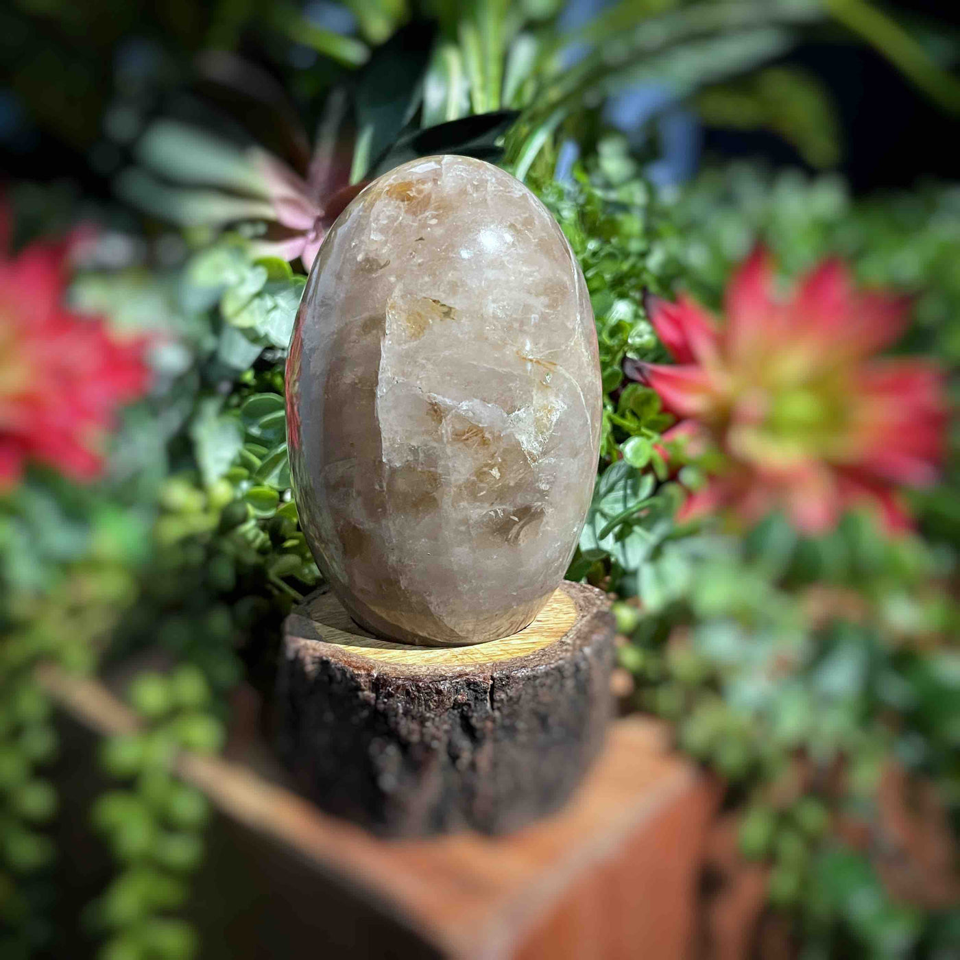 Golden Healer - Shiva 3.8"