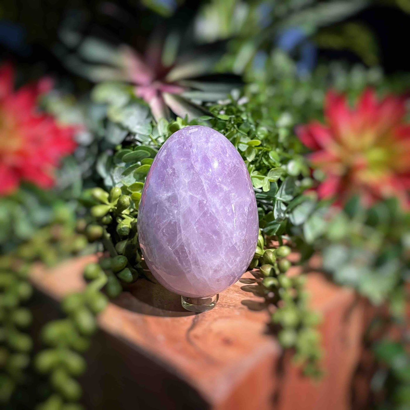 Amethyst  - Eggs - Set 1