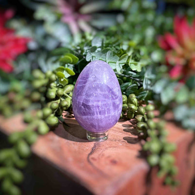 Amethyst  - Eggs - Set 1