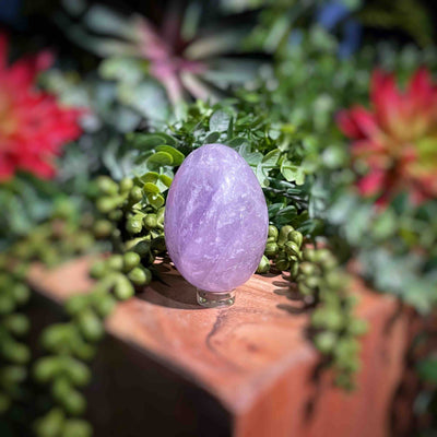 Amethyst  - Eggs - Set 2