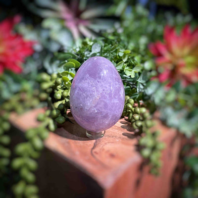 Amethyst  - Eggs - Set 2