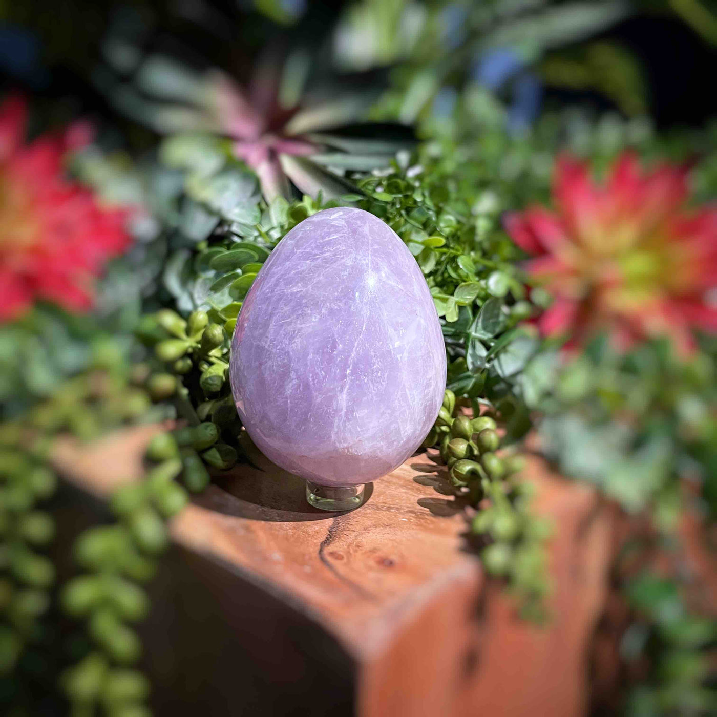 Amethyst  - Eggs - Set 2