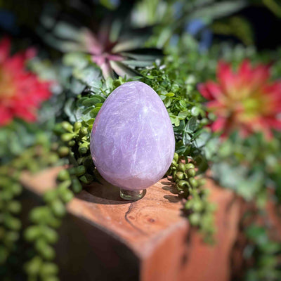 Amethyst  - Eggs - Set 2