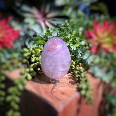 Amethyst  - Eggs - Set 2