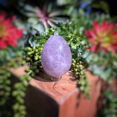 Amethyst  - Eggs - Set 2