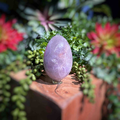 Amethyst  - Eggs - Set 2