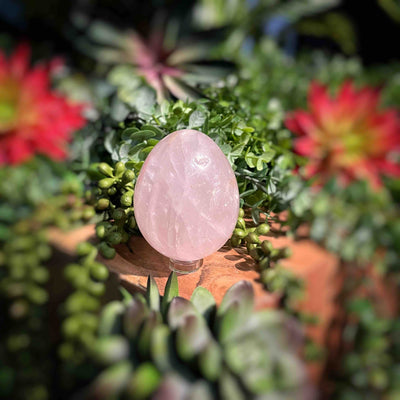 Rose Quartz - Eggs 2.5" - 2.9"