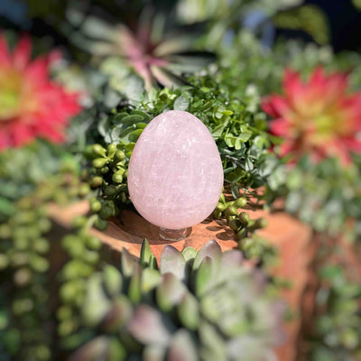 Rose Quartz - Eggs 2.5" - 2.9"