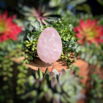 Rose Quartz - Eggs 2.5" - 2.9"