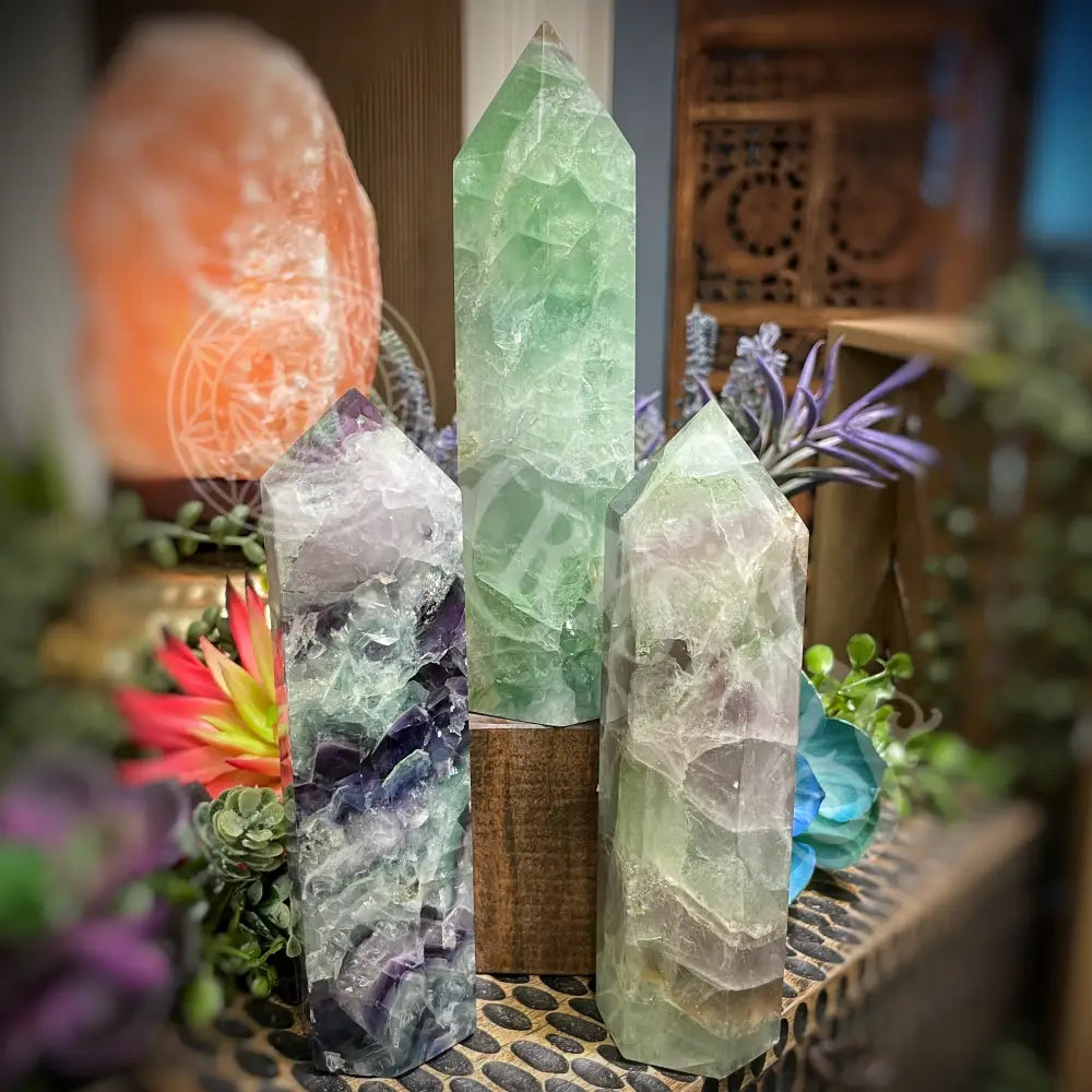 Fluorite - Tower Point Obelisk Multi Choice Set2 B926 5.2’’ 6’’ Crystals