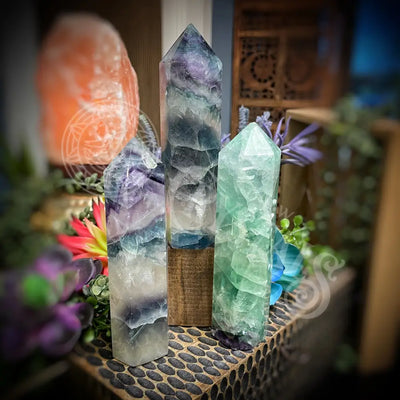 Fluorite - Tower Point Obelisk Multi Choice Set3 B927 5.7’’ 6.3’’ Crystals