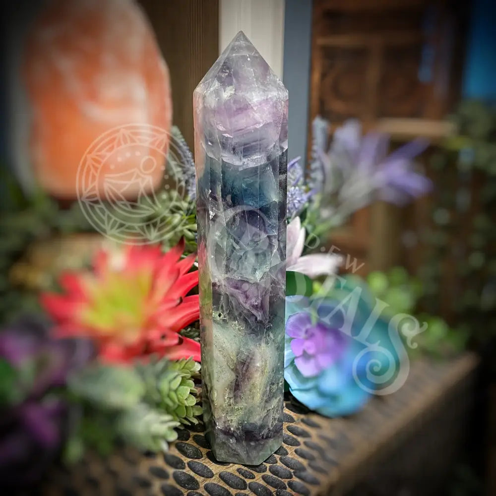 Fluorite - Tower Point Obelisk Multi Choice Set3 B929 7.2’’ Crystals