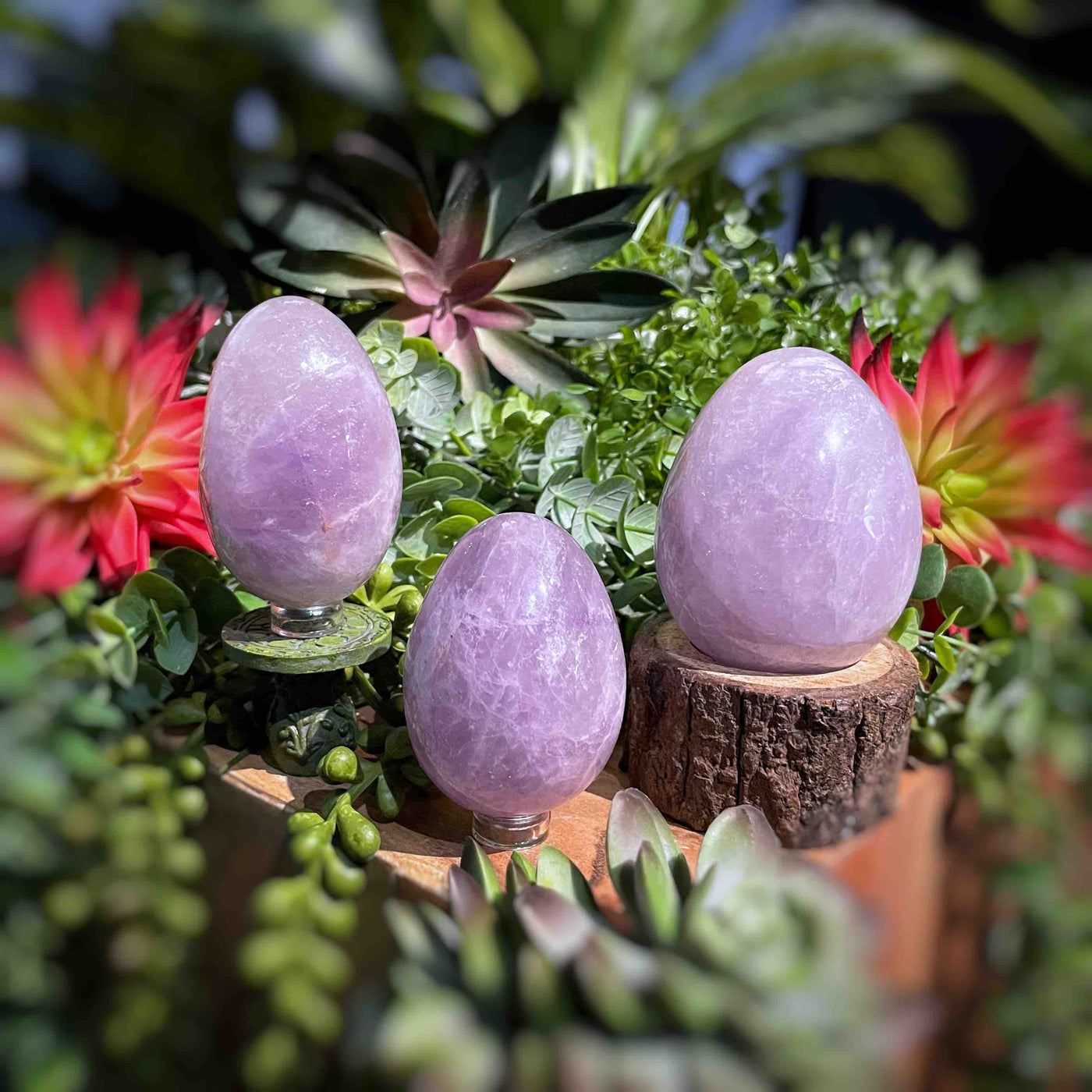 Amethyst  - Eggs - Set 2
