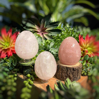 Rose Quartz - Eggs 2.5" - 2.9"