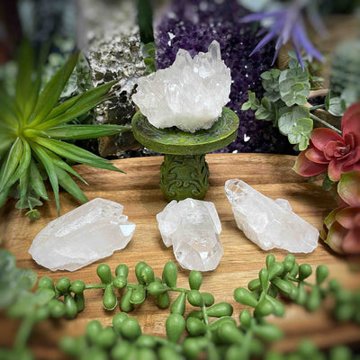 Clear Quartz - Specimens - Set 1