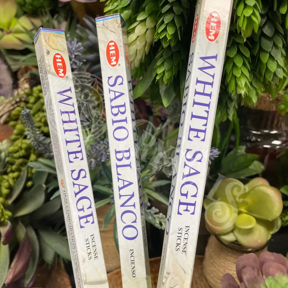 Hem Incense - White Sage 8 Pack