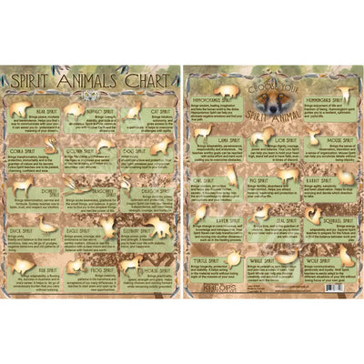 Information Charts Spirit Animals Books - Cards