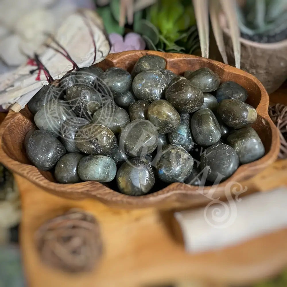 Tumbled - Labradorite 0.5 1.25 Crystals