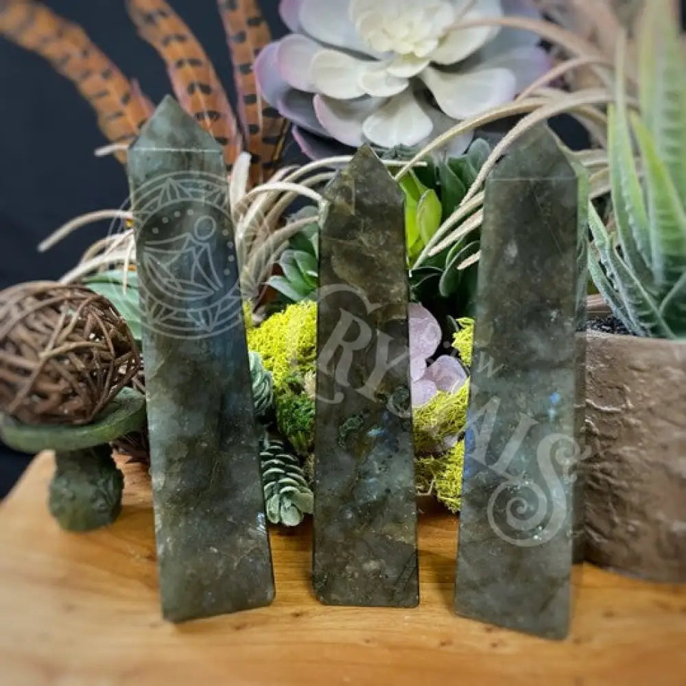 Tower Point Obelisk - Labradorite 3.75 4.0 Crystals