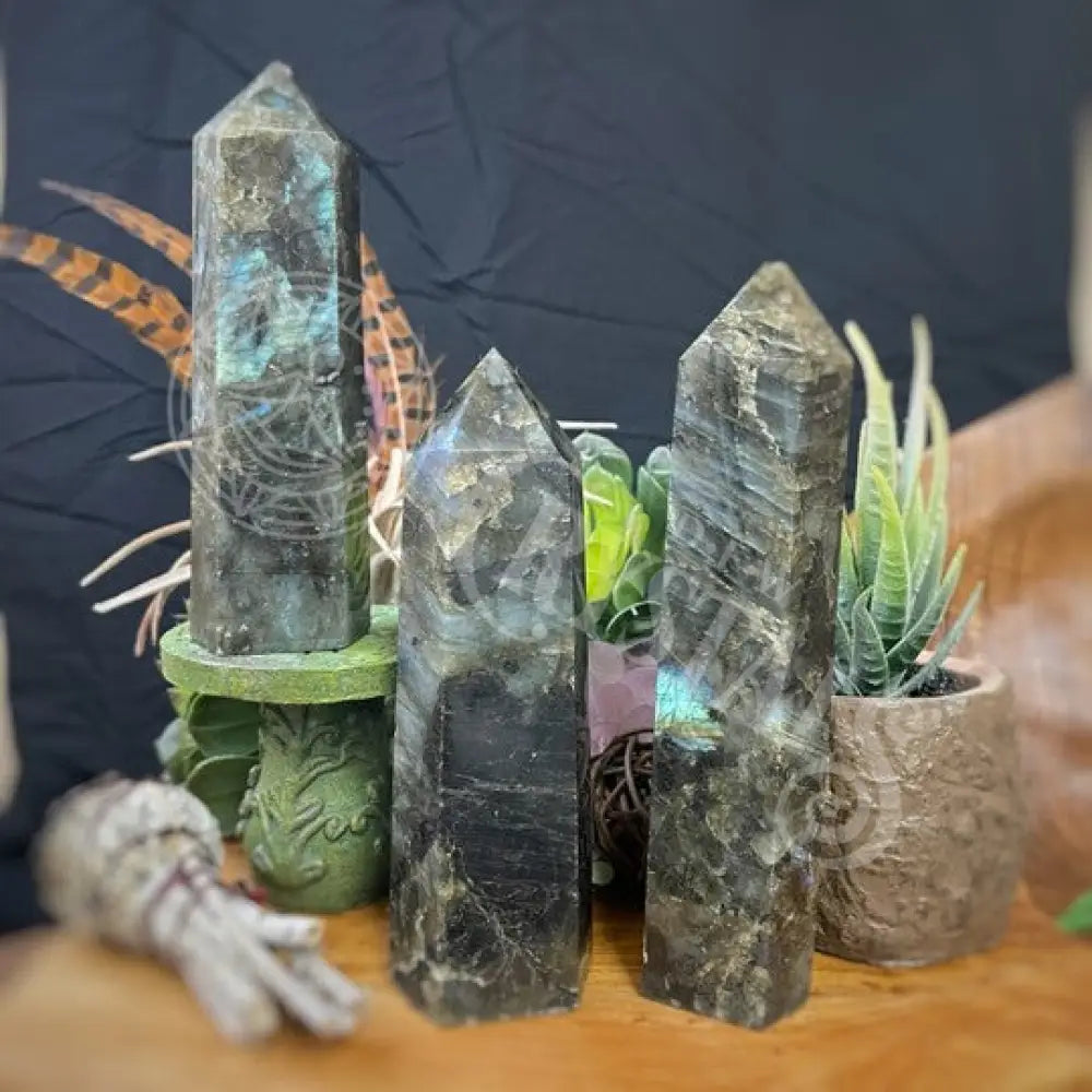 Tower Point Obelisk - Labradorite 5.25 6.25 Crystals