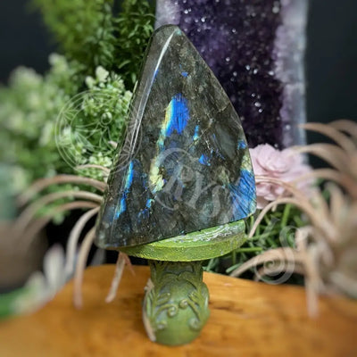 Free Form - Labradorite Multi Choice Crystals Freeform