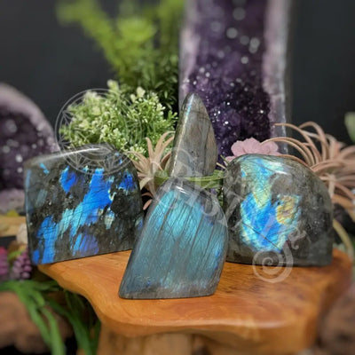 Free Form - Labradorite Multi Choice Crystals Freeform