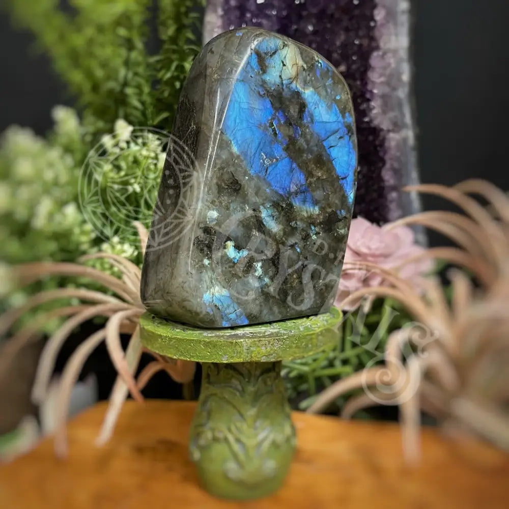 Free Form - Labradorite Multi Choice D Crystals Freeform