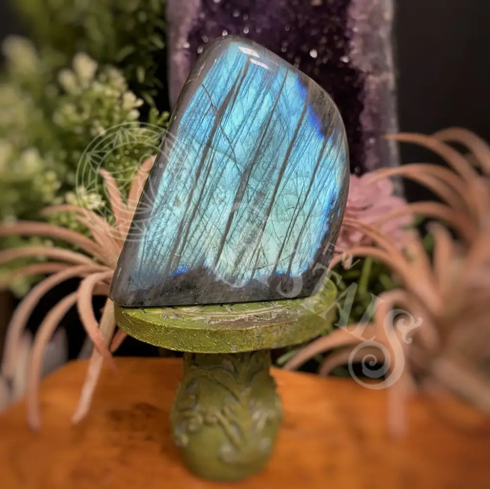 Free Form - Labradorite Multi Choice F Crystals Freeform