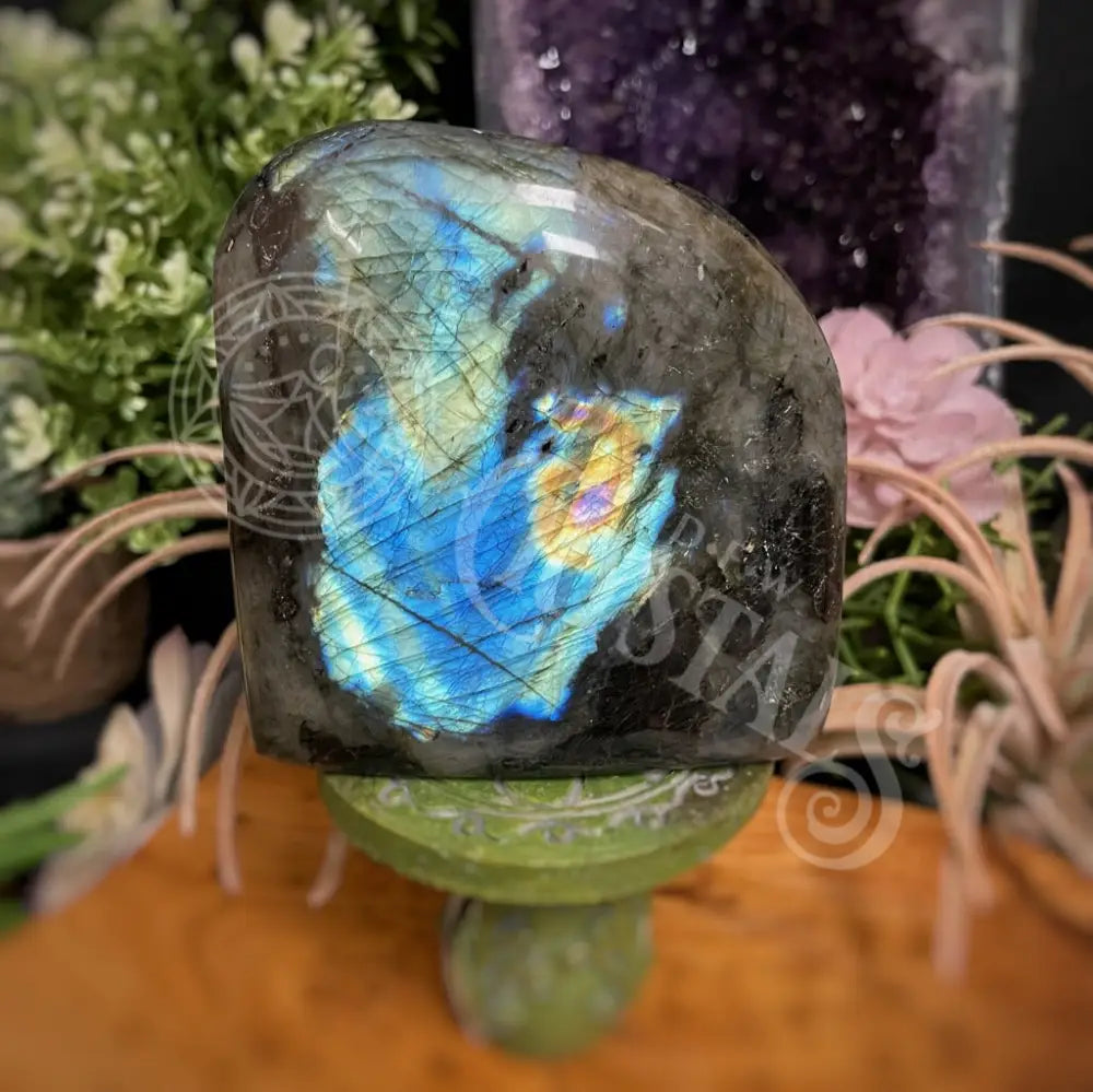 Free Form - Labradorite Multi Choice G Crystals Freeform