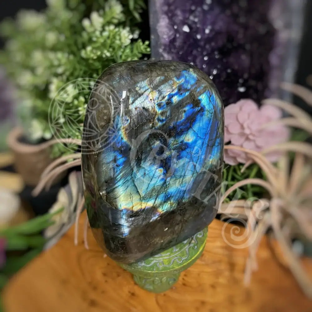 Free Form - Labradorite Multi Choice H Crystals Freeform