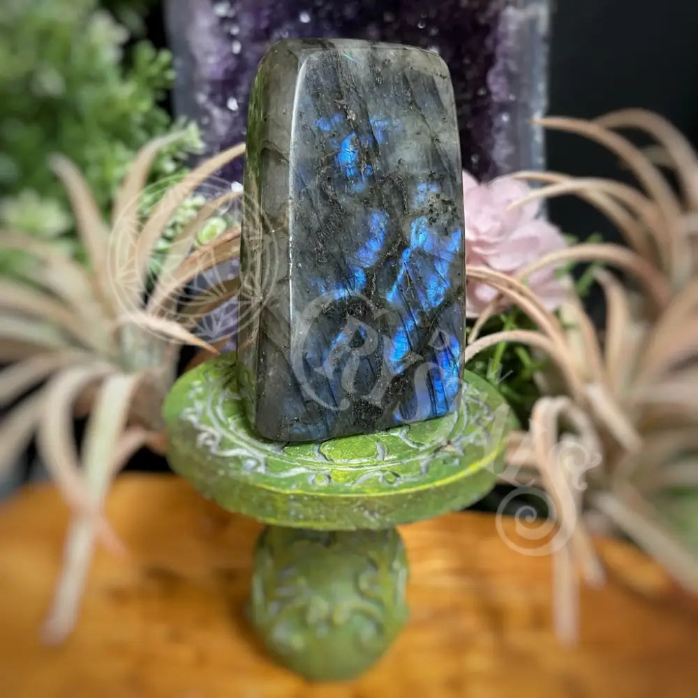 Free Form - Labradorite Multi Choice I Crystals Freeform