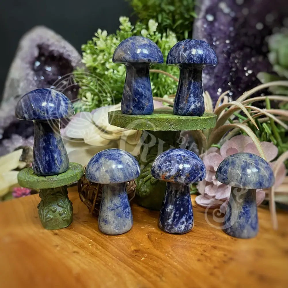 Mushroom - Lapis Lazuli 1.75 2 Crystals