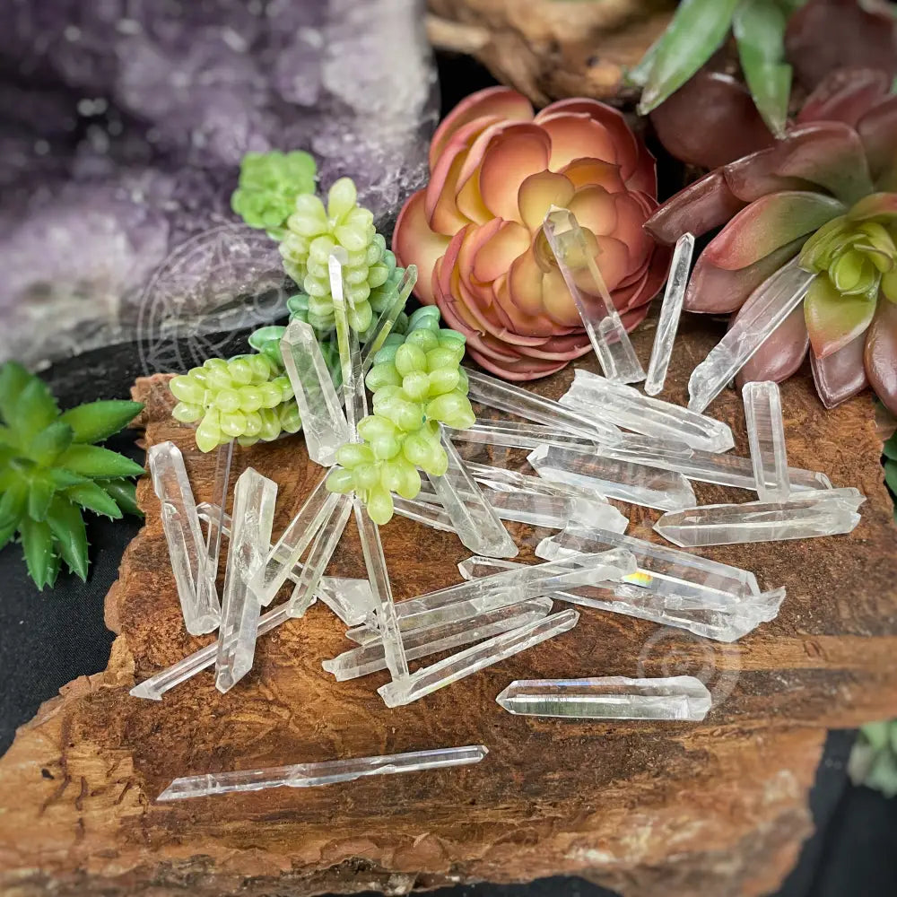 Tower Point Obelisk - Lemurian Quartz Needle Points 0.5 3.0 A Crystals