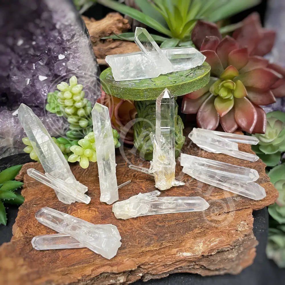 Tower Point Obelisk - Lemurian Quartz Points Blue Smoke With Babies 2.0 3.0 Crystals