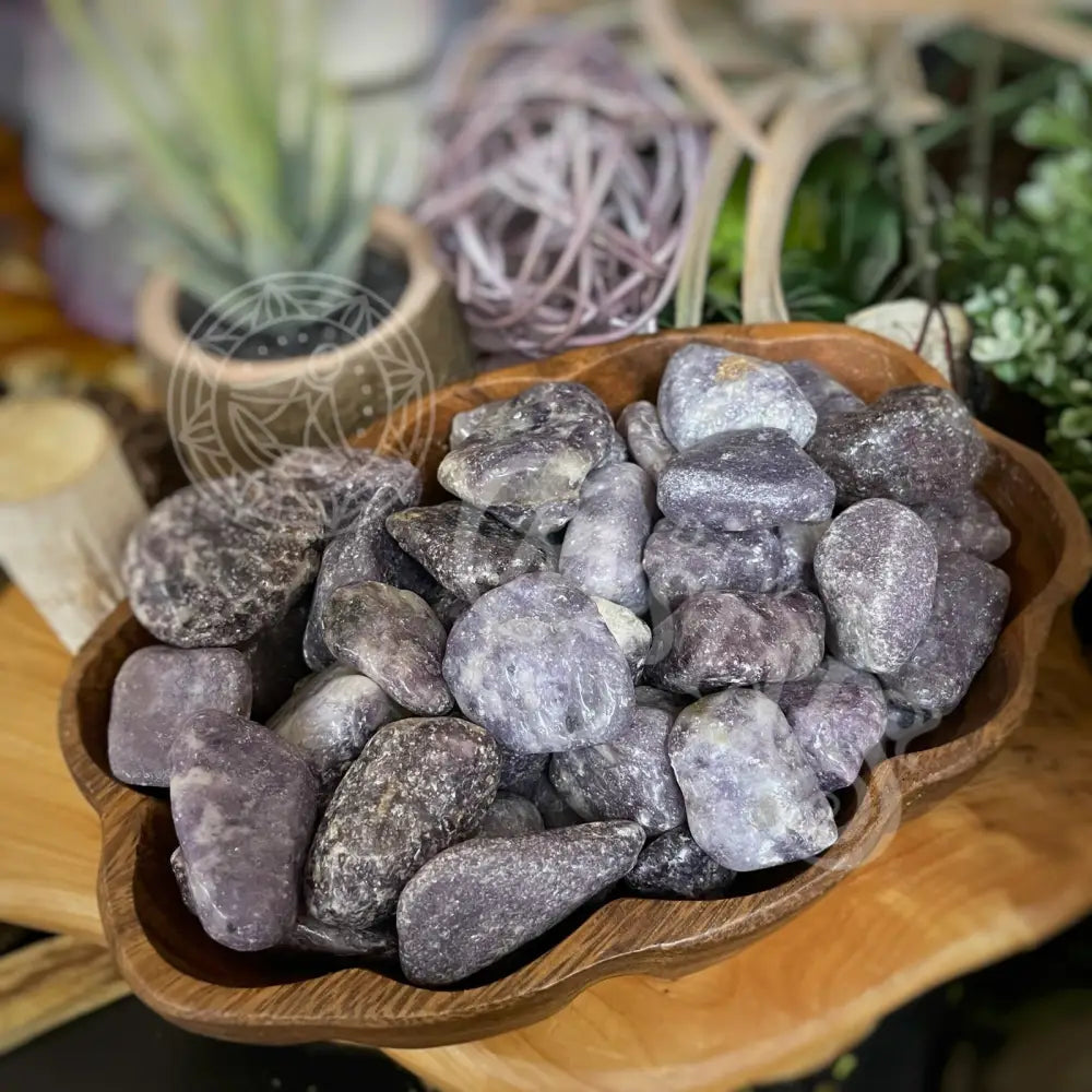 Tumbled - Lepidolite 0.5 1.5 Crystals