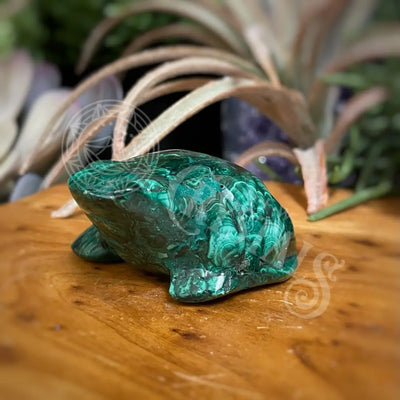 Animal - Frog Malachite A Crystals Carvings