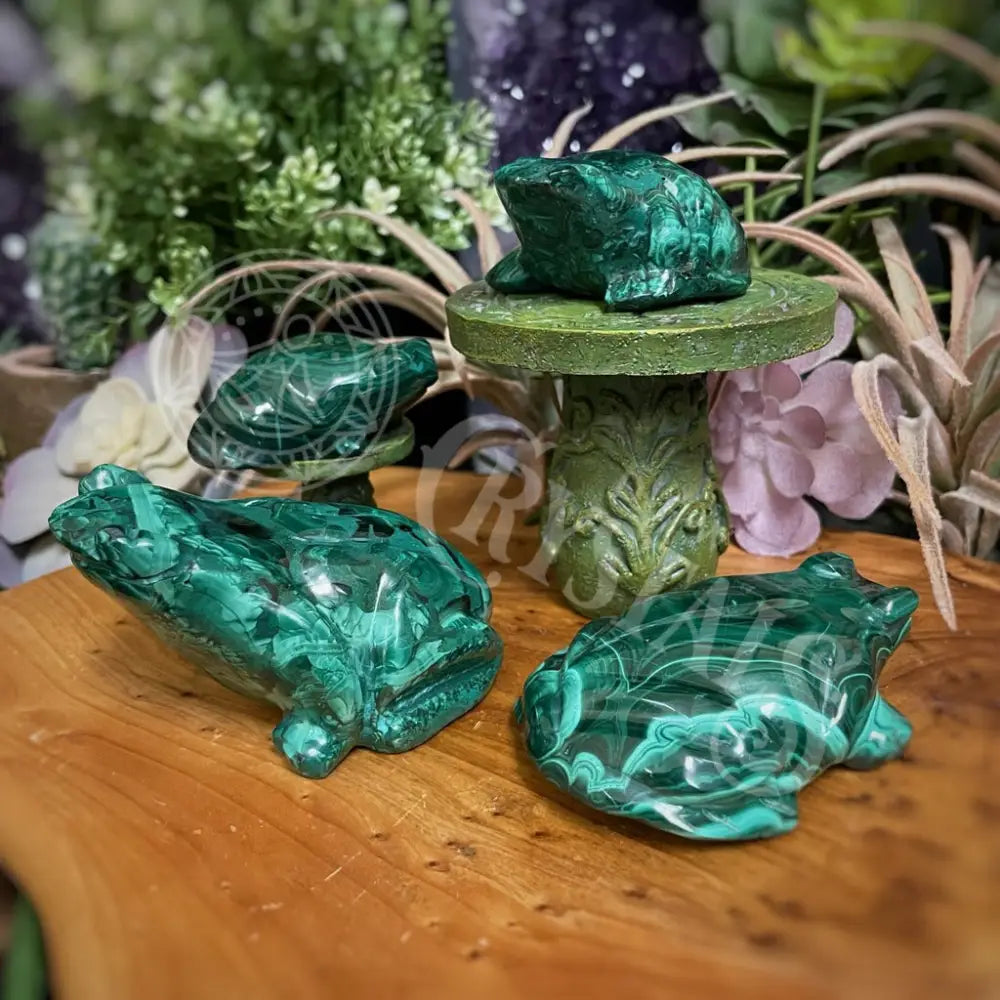 Animal - Frog Malachite Crystals Carvings