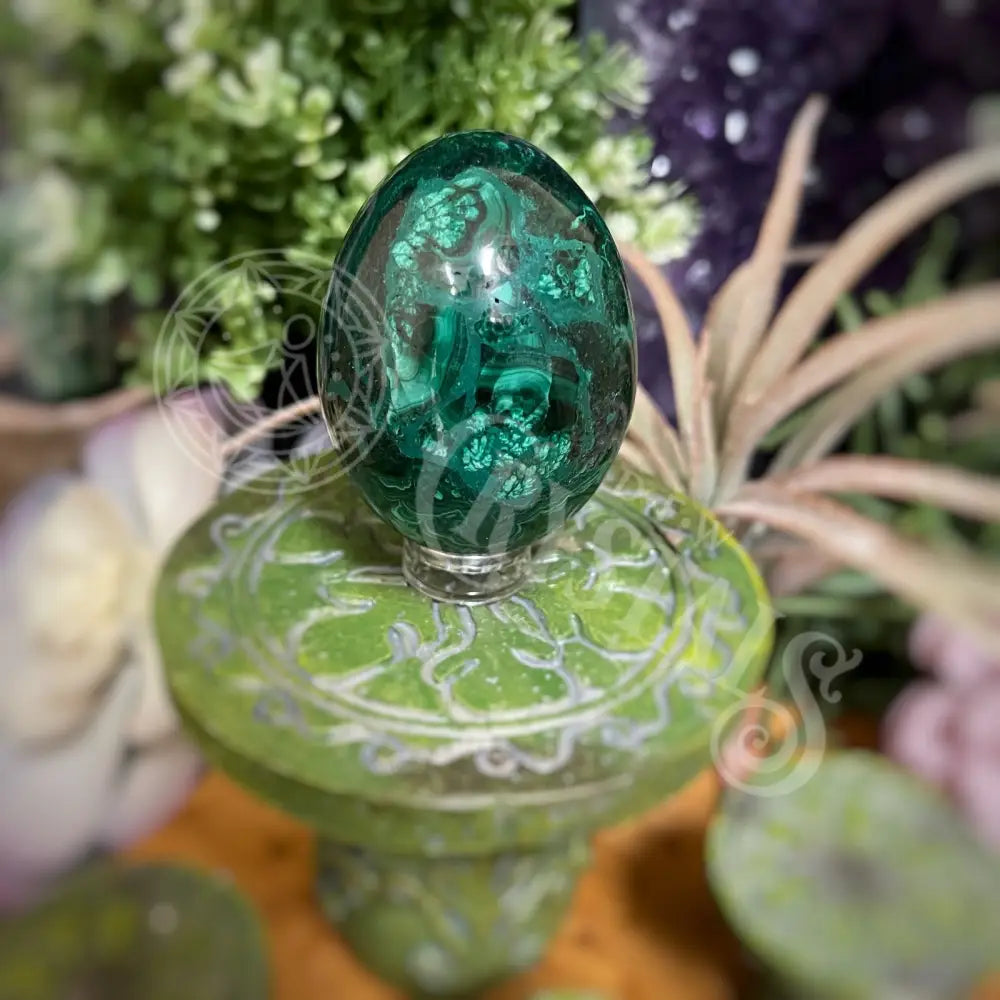 Eggs - Malachite Multi Sizes E Crystals