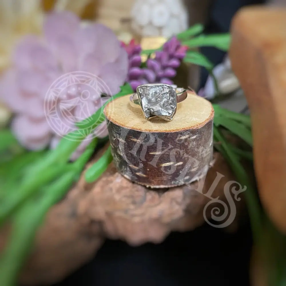 Ring - Meteorite Campo Del Cielo Multiple Sizes A6 Jewelry