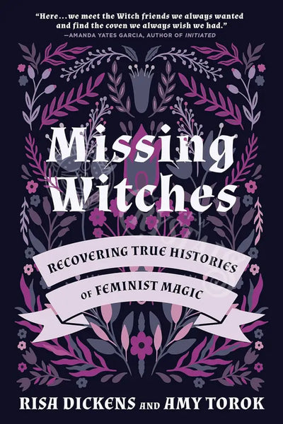 Missing Witches By Risa Dickens & Amy Torok Books - Witchcraft