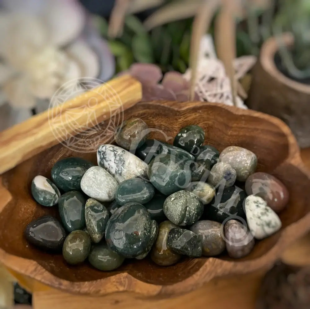 Tumbled - Moss Agate 0.25 0.75 Crystals