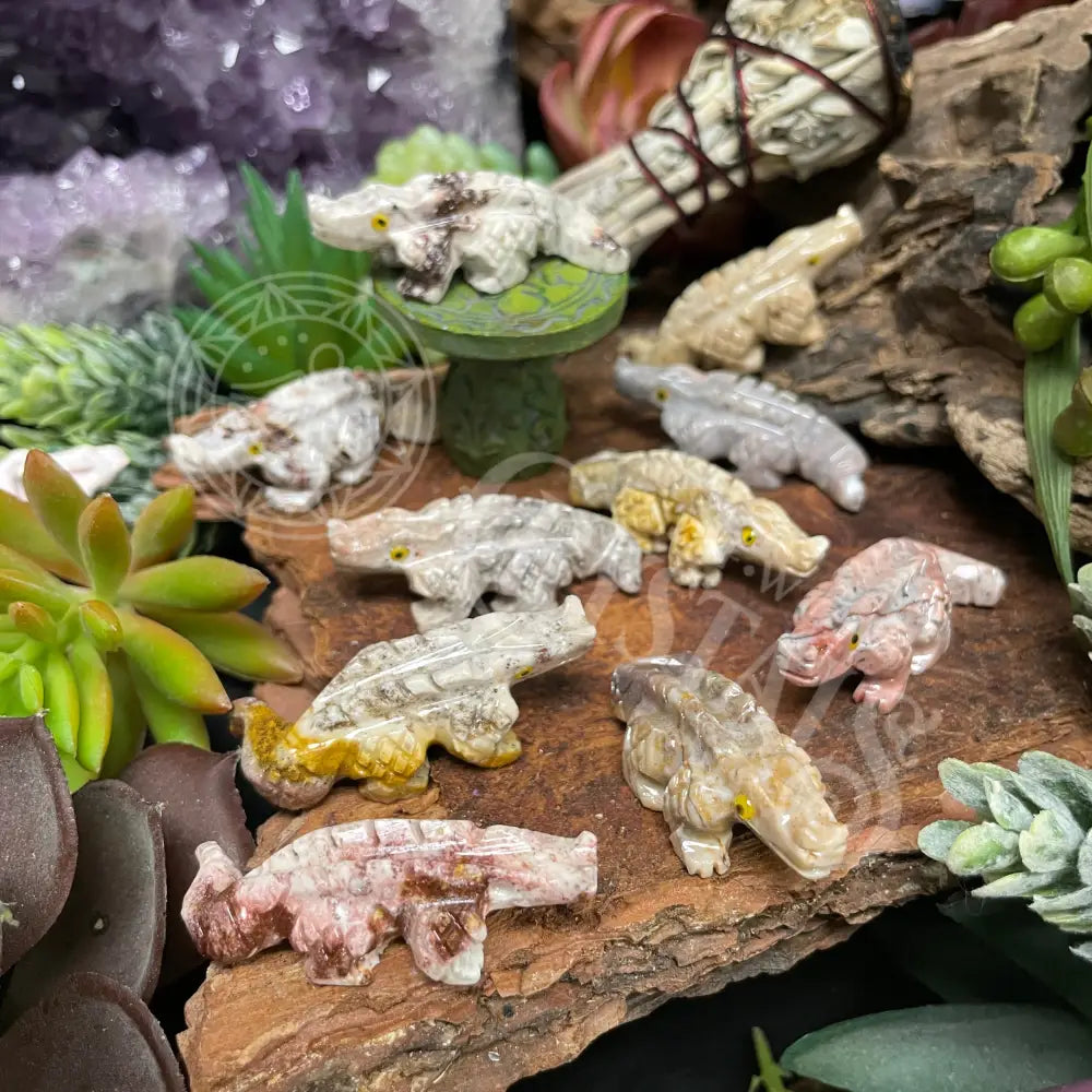 Animal - Crocodile Onyx 1.25 1.5 Crystals Carvings