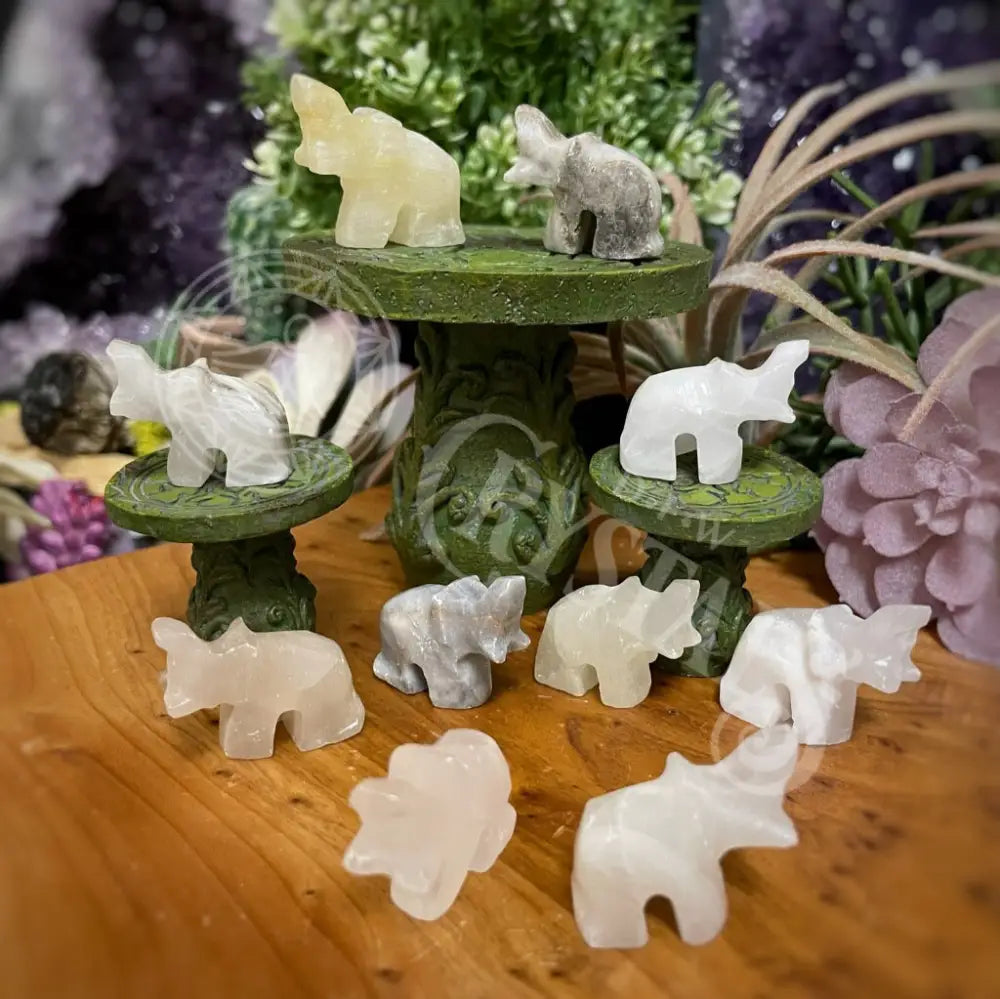 Animal - Elephant Onyx 1 Crystals Carvings