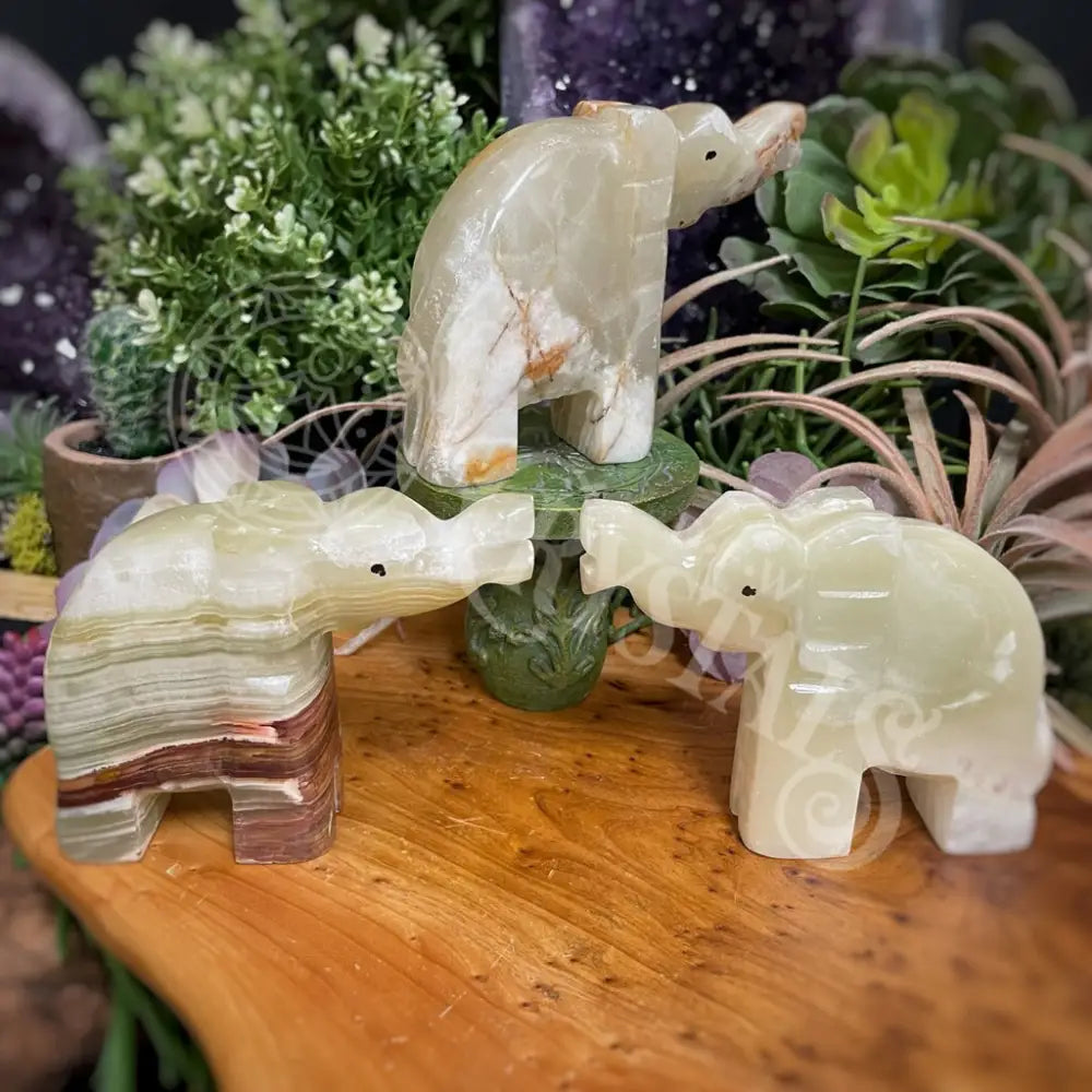 Animal - Elephant Onyx 4 Crystals Carvings