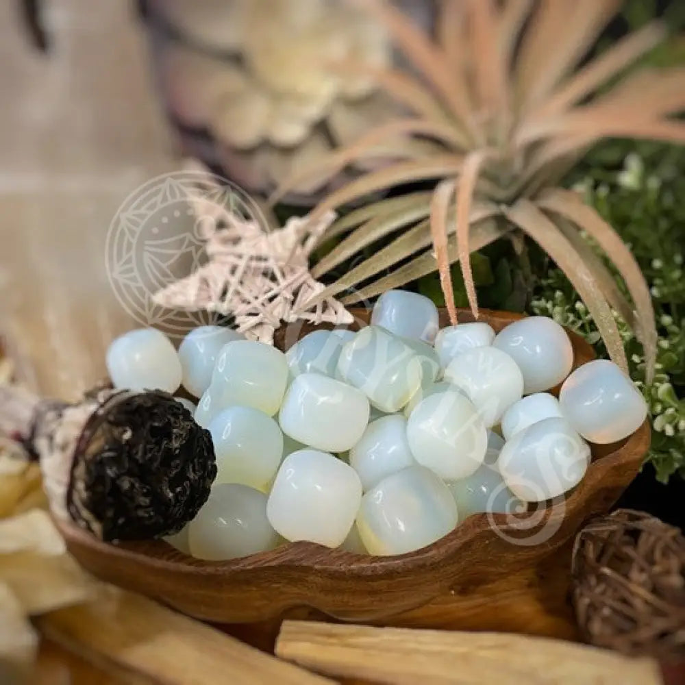 DFW Crystals - search by shape, color, zodiac and chakra