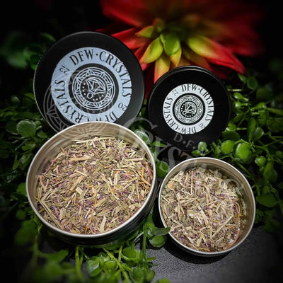 Pennyroyal Incense - Loose Leaf