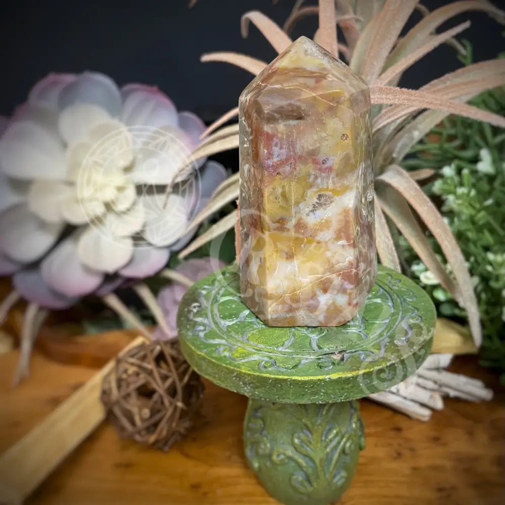 Tower Point Obelisk - Petrified / Fossilized Wood 3.0 3.6 C 3.1 Crystals